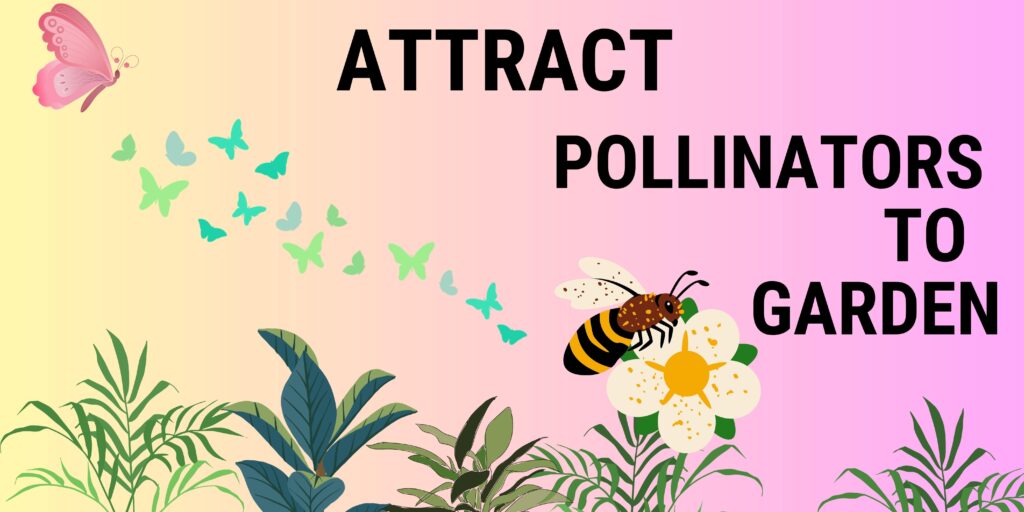 How to Attract Pollinators to Your Garden - Nutri Gardening